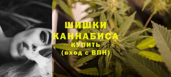 крисы Гусиноозёрск