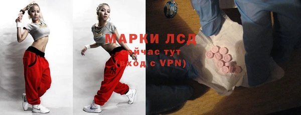 прущие грибы Гусь-Хрустальный