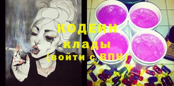 прущие грибы Гусь-Хрустальный