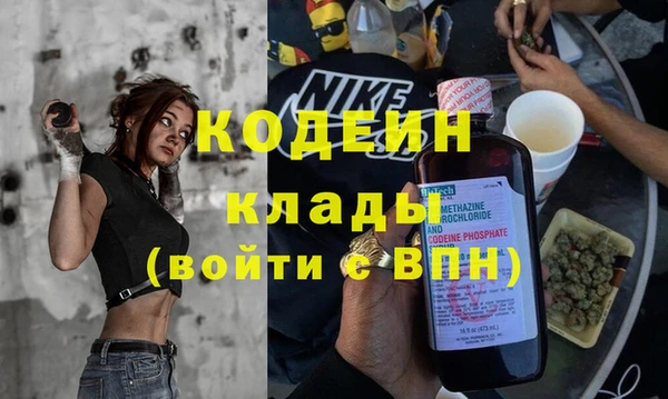 прущие грибы Гусь-Хрустальный