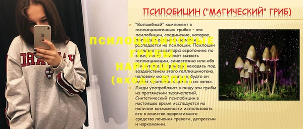 прущие грибы Гусь-Хрустальный