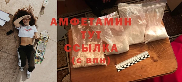 прущие грибы Гусь-Хрустальный