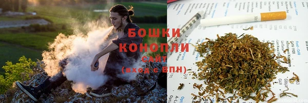 прущие грибы Гусь-Хрустальный