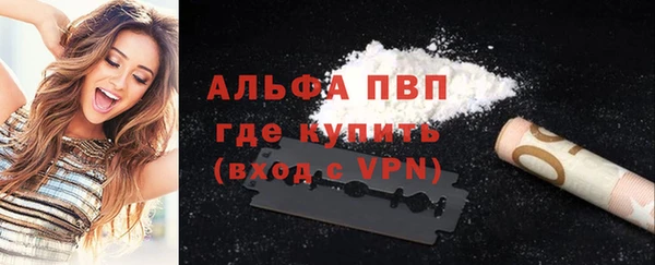 прущие грибы Гусь-Хрустальный