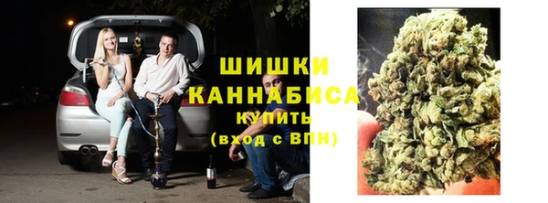 крисы Гусиноозёрск