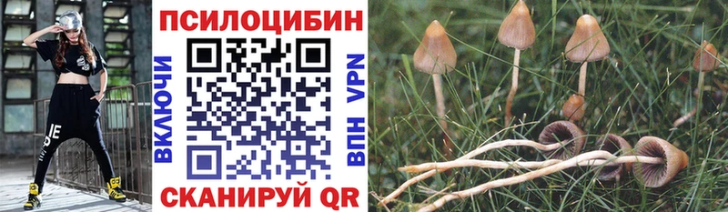Галлюциногенные грибы ЛСД  Купить закладки  Клин 